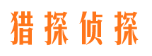 宁陵侦探